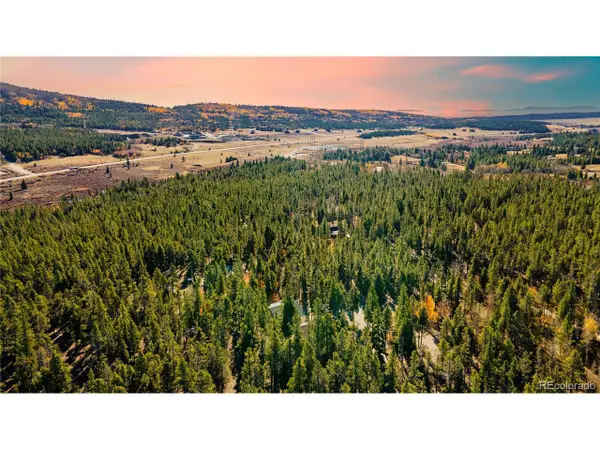 235 Willow Ln, Fairplay, CO 80440