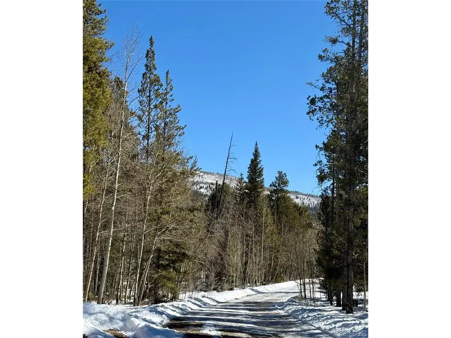 235 Willow Ln, Fairplay, CO 80440 - #2