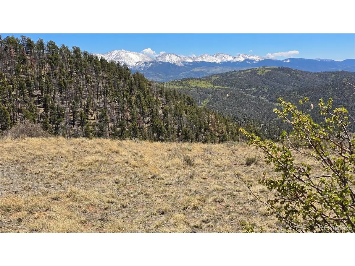 5817 Balleroy & Covington Rd, Fort Garland, CO 81133 - #1