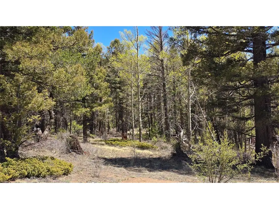 5817 Balleroy & Covington Rd, Fort Garland, CO 81133 - #3