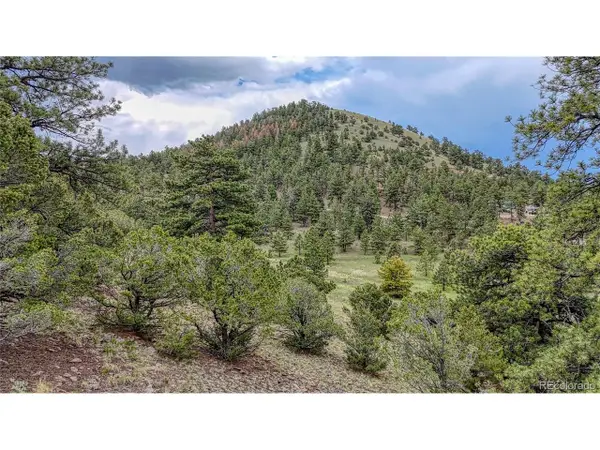 44 Honeysuckle Ter, Westcliffe, CO 81252