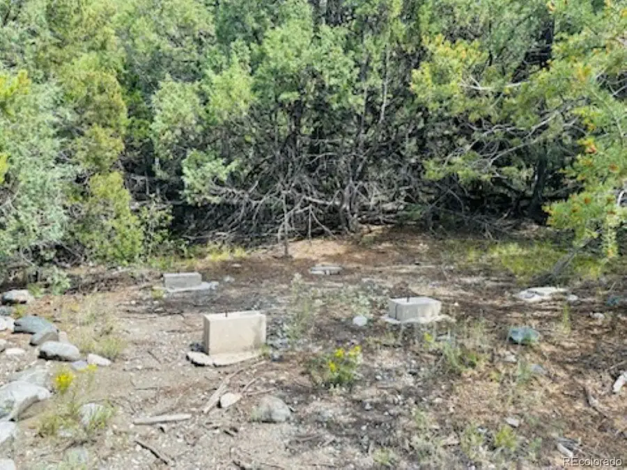 216 Colima Pl, Mosca, CO 81146 - Image #3