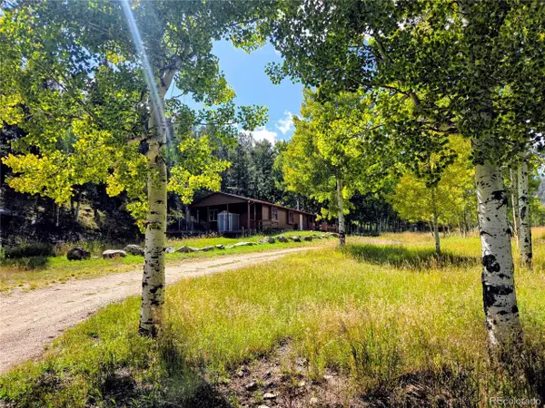 604 N Pine Dr, Bailey, CO 80421