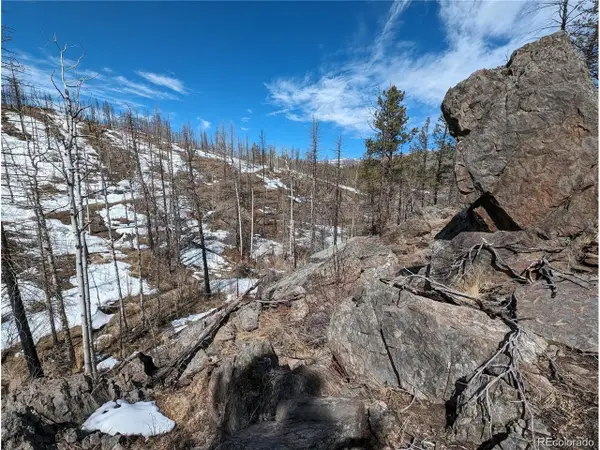 60 Powder Horn Trl, Bellvue, CO 80512
