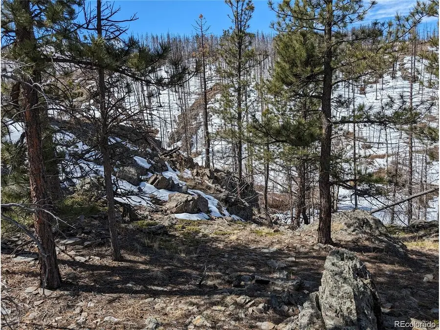 60 Powder Horn Trl, Bellvue, CO 80512 - #2