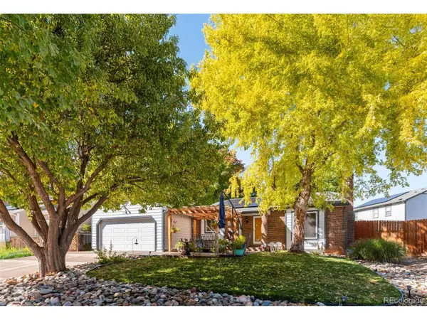 5005 S Braun St, Morrison, CO 80465