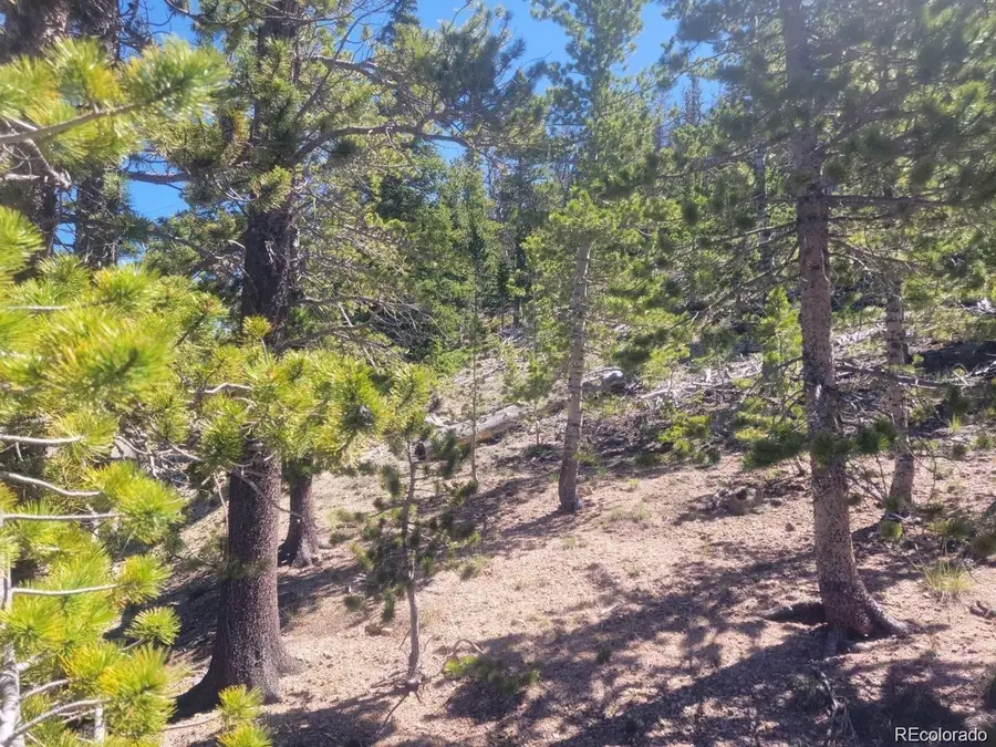 Mine Rd, Idaho Springs, CO 80444 - #2