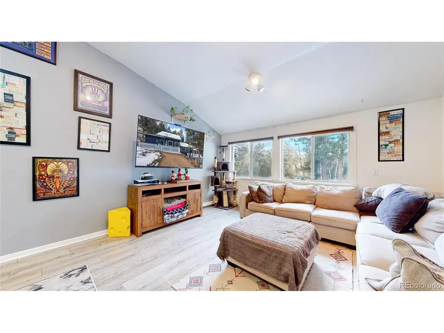 33988 Jenifer Rd, Pine, CO 80470 - #3