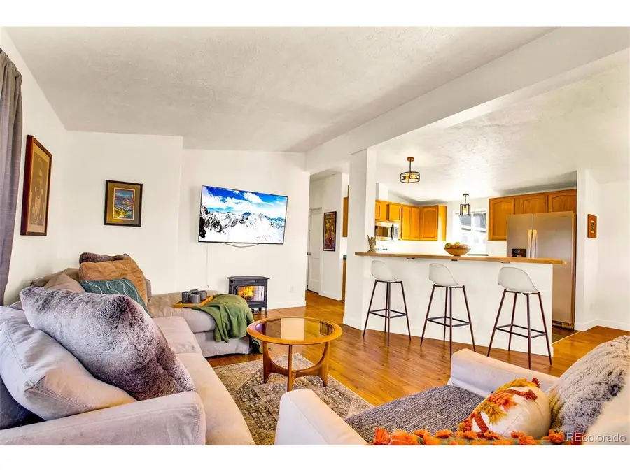 884 Trout Creek Dr, Fairplay, CO 80440 - #3