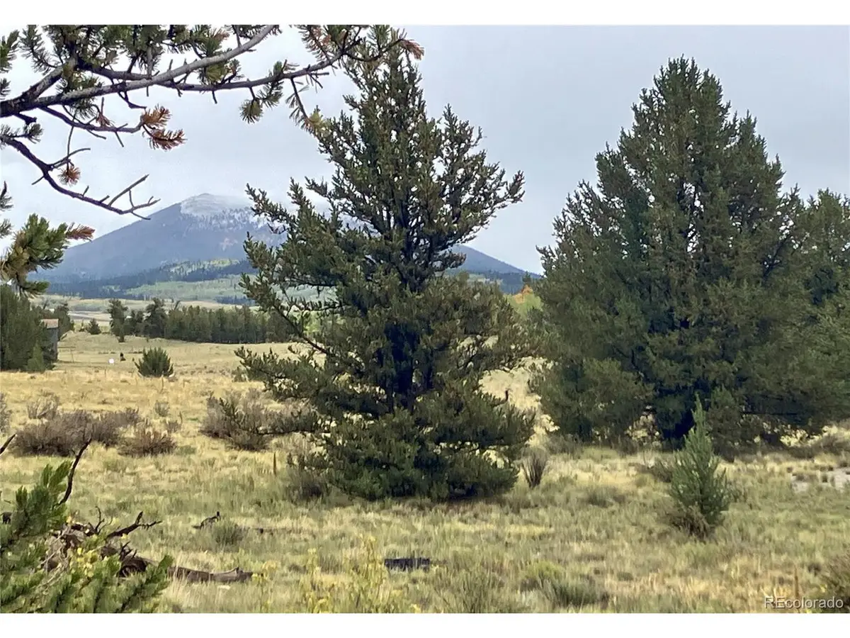 1344 Silverheels Rd, Fairplay, CO 80440 - #1