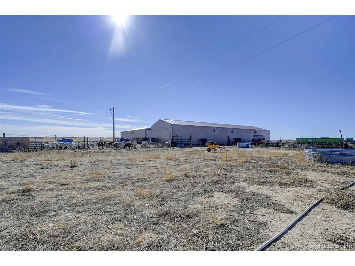 7455 S Rush Rd, Rush, CO 80833 - #1