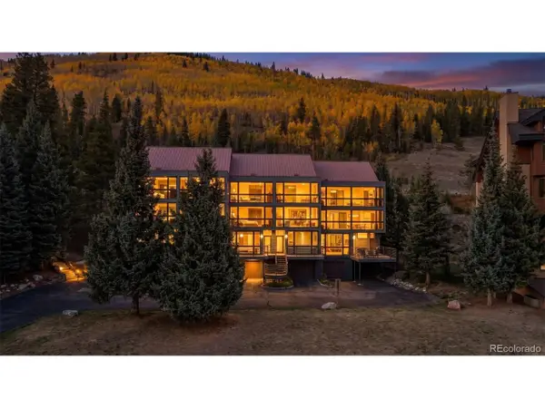 105 Beeler Pl #9, Frisco, CO 80443
