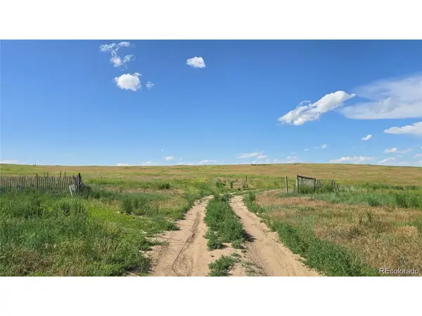 37875 Highway 86, Agate, CO 80101