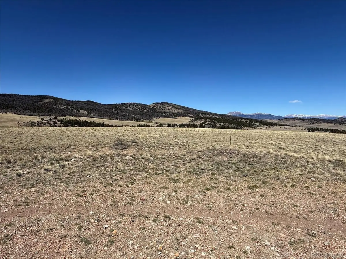 197 Baler Ct, Hartsel, CO 80449 - #1