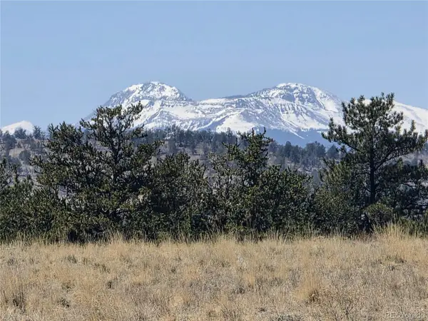 1000 Yellowstone Rd, Hartsel, CO 80449