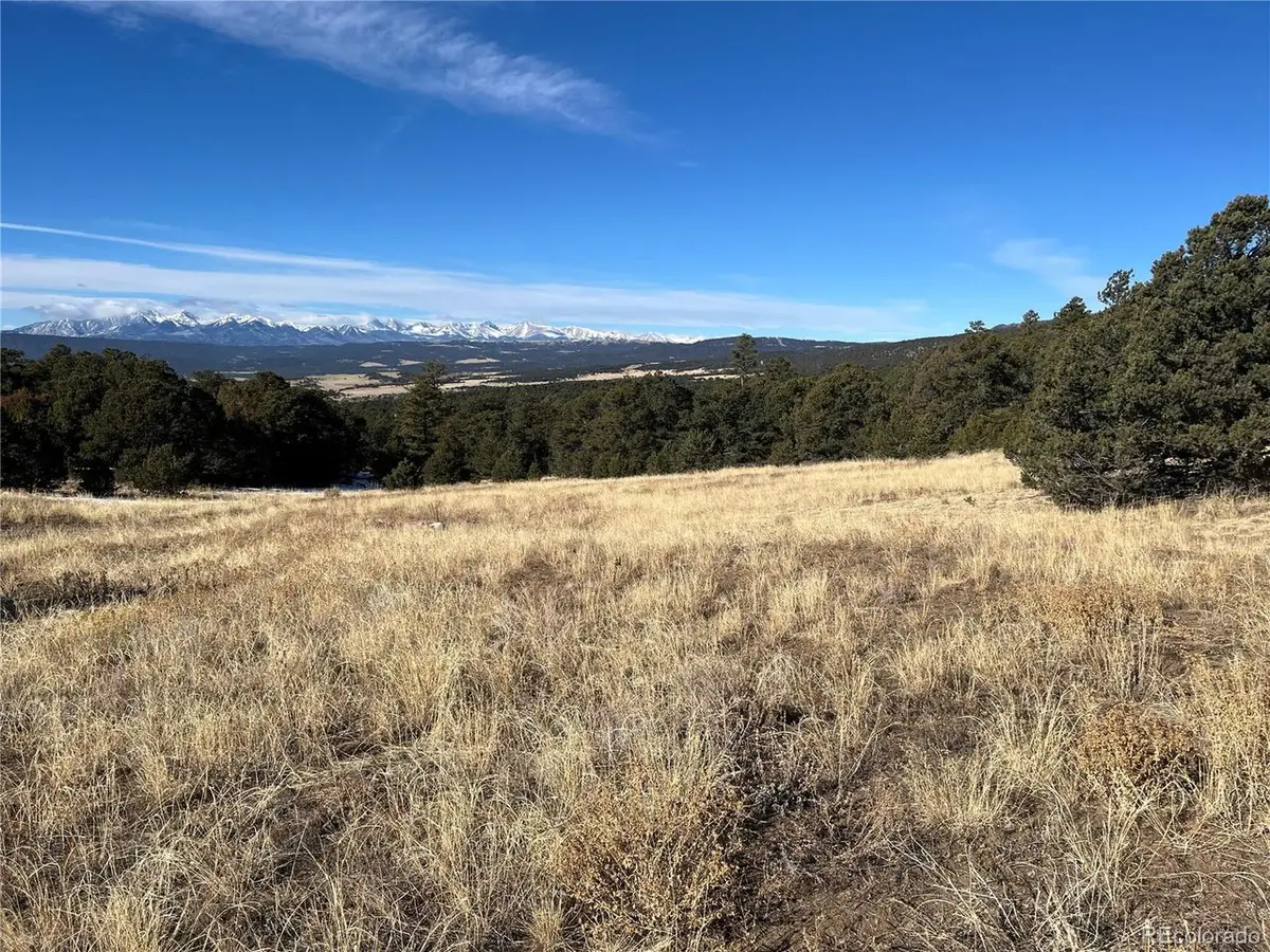 1501 County Road 628, Gardner, CO 81040 - #1