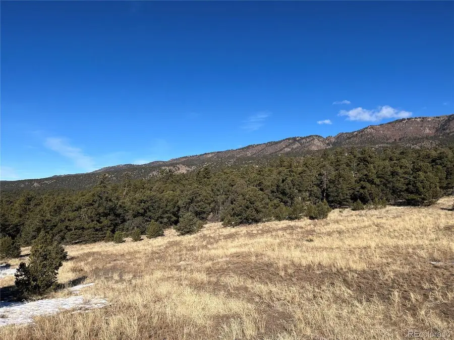 1501 County Road 628, Gardner, CO 81040 - #3