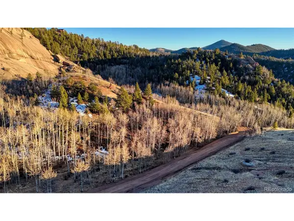 524 Buckhorn Rd, Cripple Creek, CO 80813