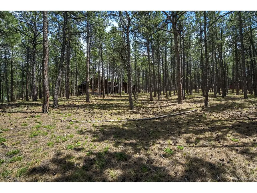 17960 Smugglers Rd, Monument, CO 80132 - Image #2