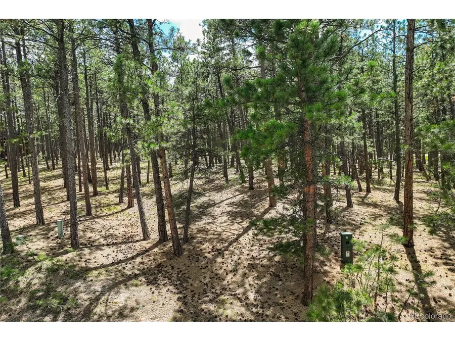 17960 Smugglers Rd, Monument, CO 80132 - Image #3