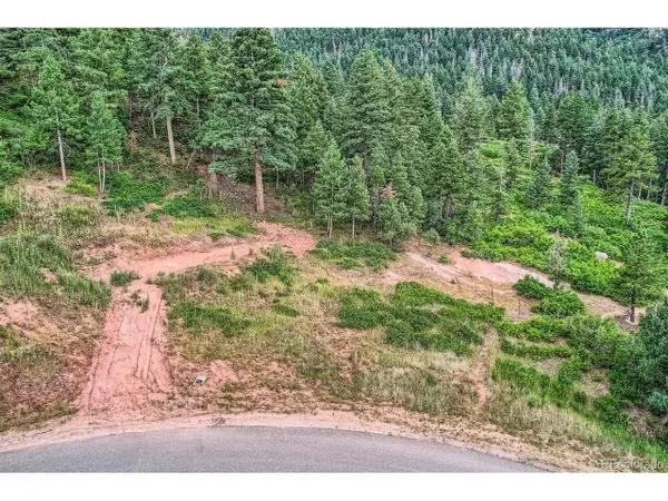 7100 Fox Cir, Larkspur, CO 80118