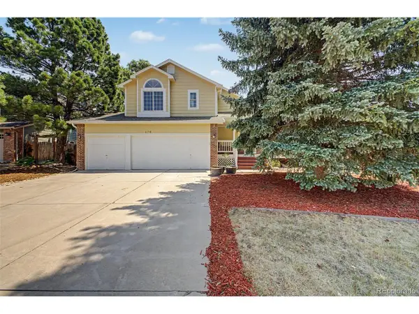 1178 N Deckers Pl, Castle Rock, CO 80104