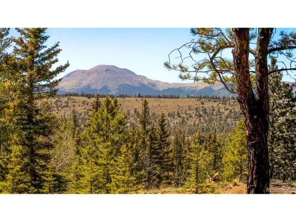 120 Chubb Ct, Buena Vista, CO 81211