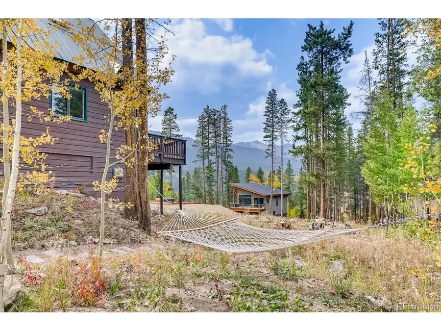 689 American Way, Breckenridge, CO 80424 - #3