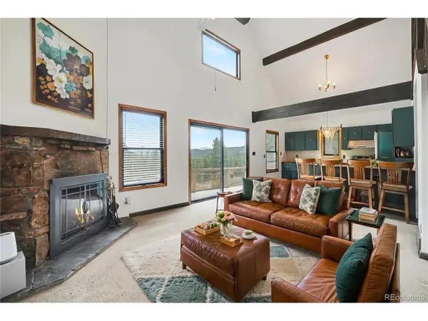 201 Silver Creek Rd, Idaho Springs, CO 80452