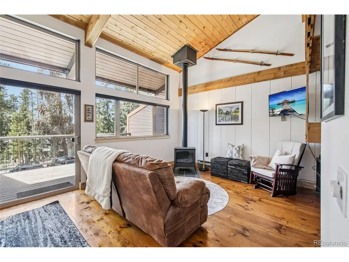 166 S Fuller Placer Rd #6, Breckenridge, CO 80424 - #1