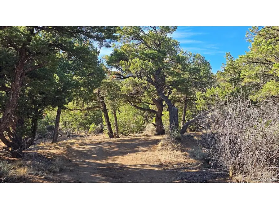 2232 Solaz Rd, Fort Garland, CO 81133 - #2