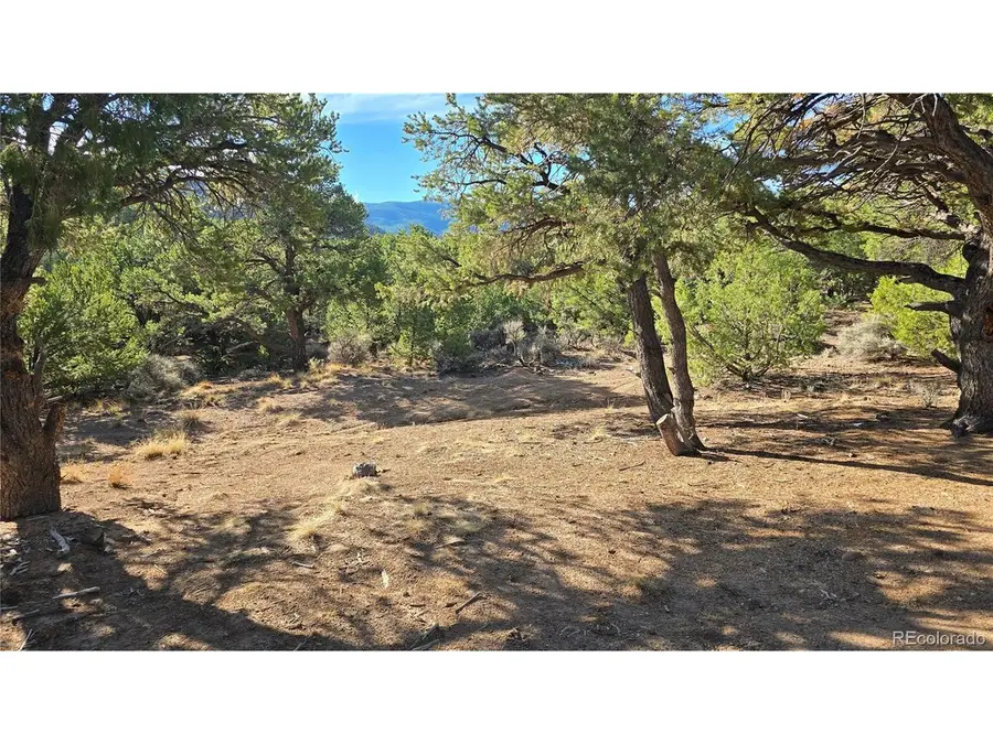 2232 Solaz Rd, Fort Garland, CO 81133 - #3