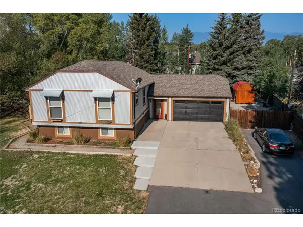 250 James St, Buena Vista, CO 81211