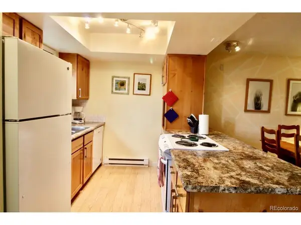 101 Doc Susie Ave #A5, Fraser, CO 80442