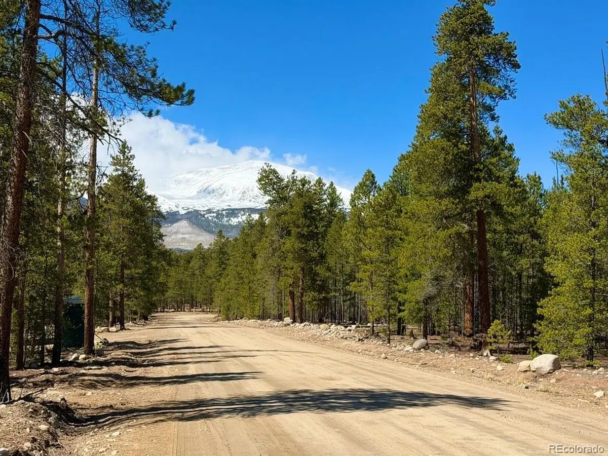 360 Peak View Dr, Leadville, CO 80461 - #1