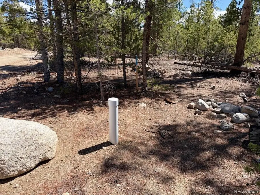 360 Peak View Dr, Leadville, CO 80461 - #3