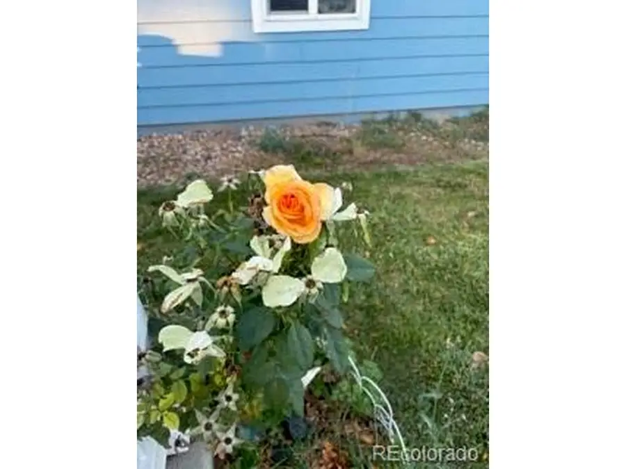 6405 Hollyhock Grn #62, Frederick, CO 80530 - #2