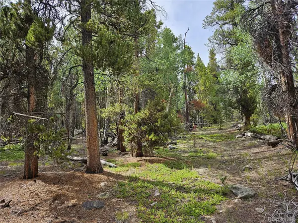 7923 Suds Spot, Fairplay, CO 80440