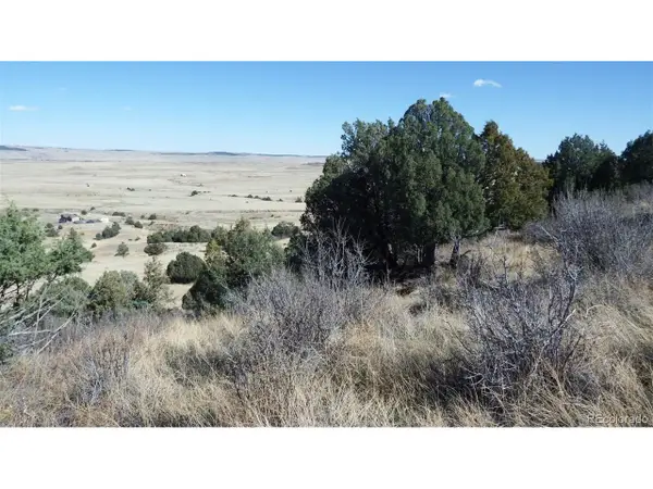 35584 Comanche Creek Rd, Kiowa, CO 80117