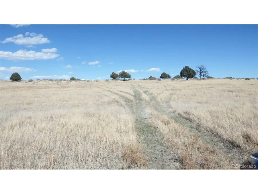 35584 Comanche Creek Rd, Kiowa, CO 80117 - #2