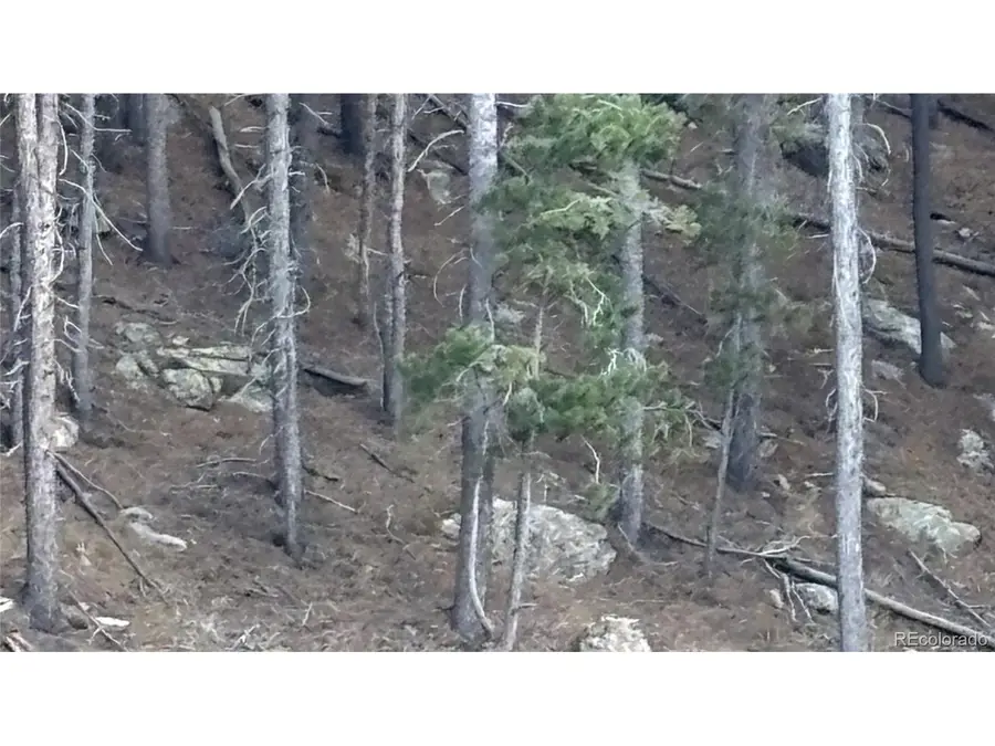 1 Miners Rd, Black Hawk, CO 80422 - #2