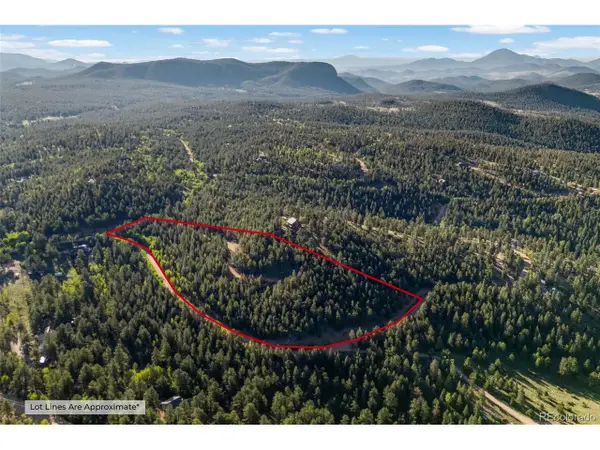 157 Saddle Horn Ln, Bailey, CO 80421