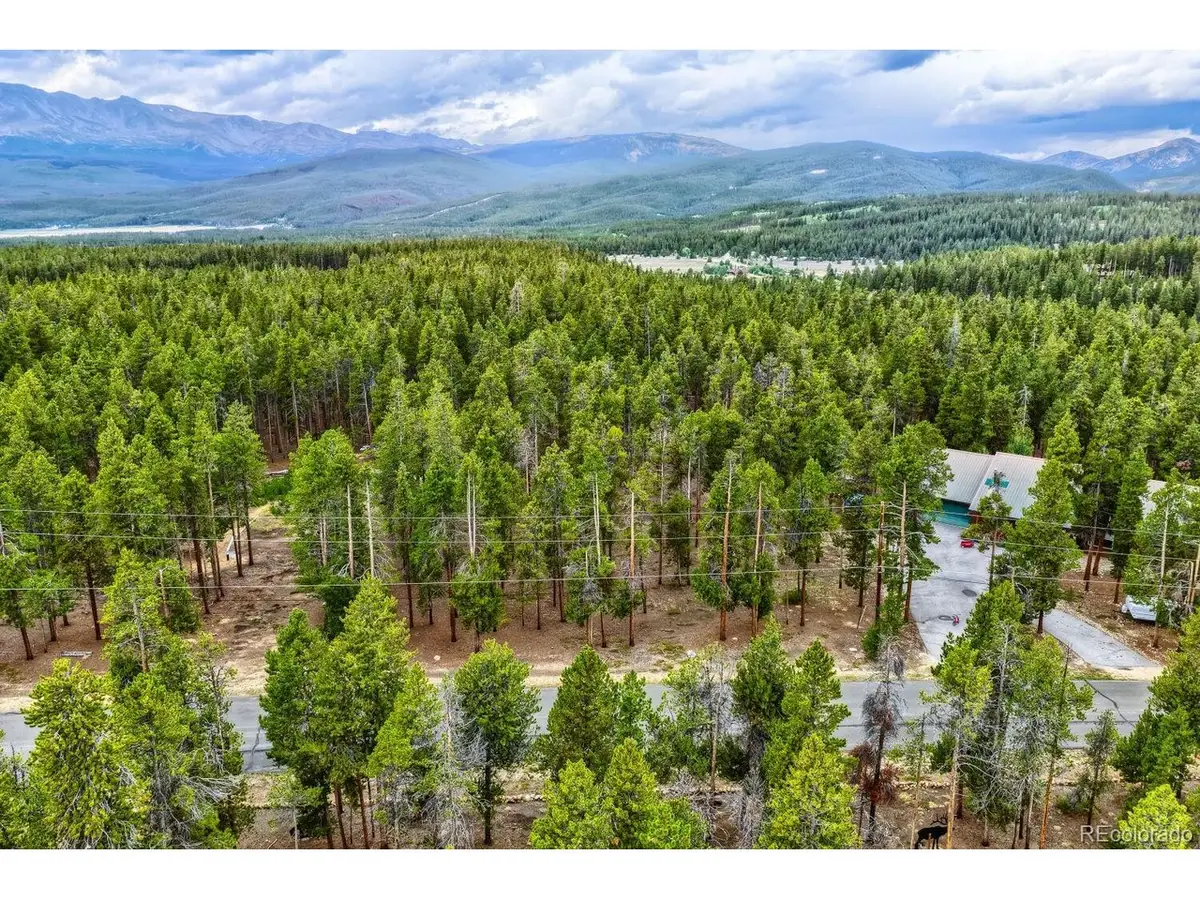 848 Baby Doe Dr, Leadville, CO 80461 - #1