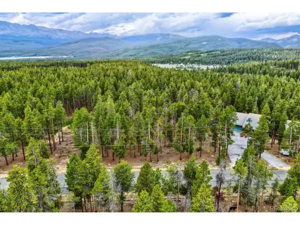 848 Baby Doe Dr, Leadville, CO 80461