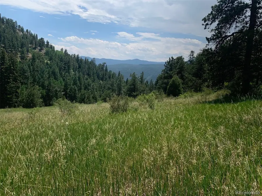 0 Douglas Mtn Dr, Golden, CO 80403 - Image #2