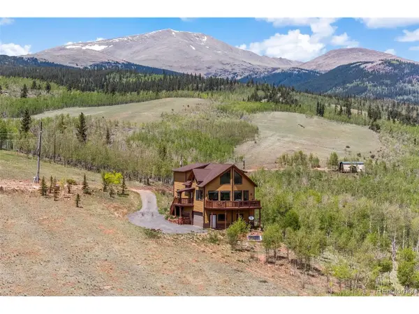 566 Palmer Peak Dr, Fairplay, CO 80440