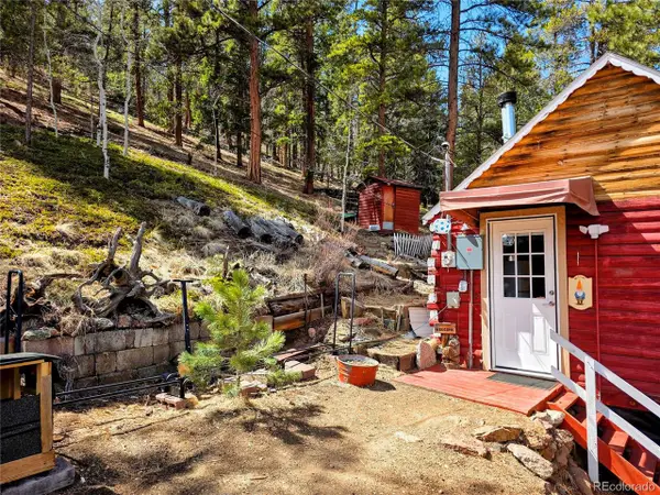 163 Ward St, Bailey, CO 80421