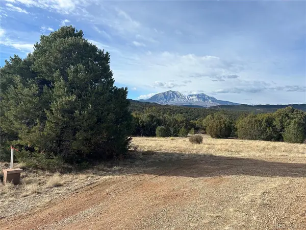 142 Silver Spurs Ranch, Walsenburg, CO 81089