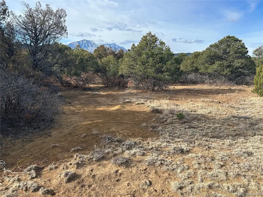 142 Silver Spurs Ranch, Walsenburg, CO 81089 - #3