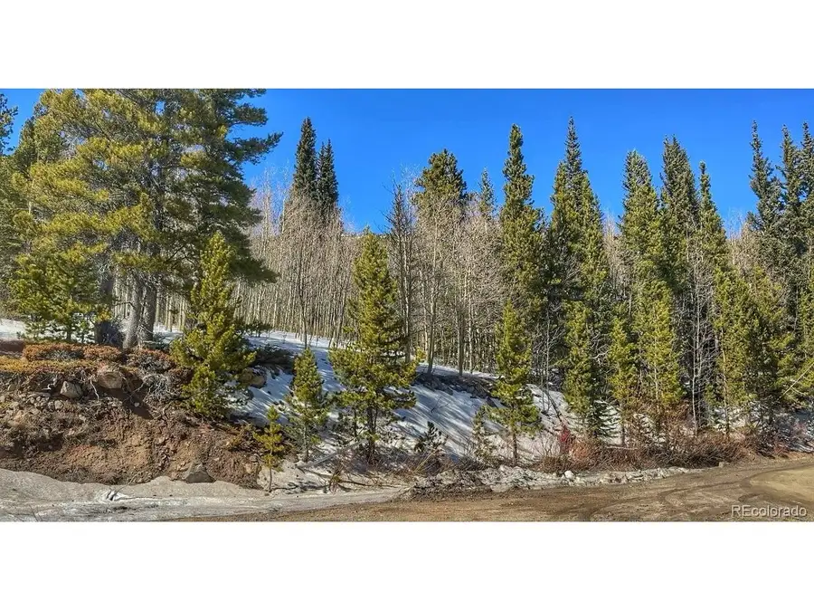 39 Glory Hole Rd, Idaho Springs, CO 80452 - #2